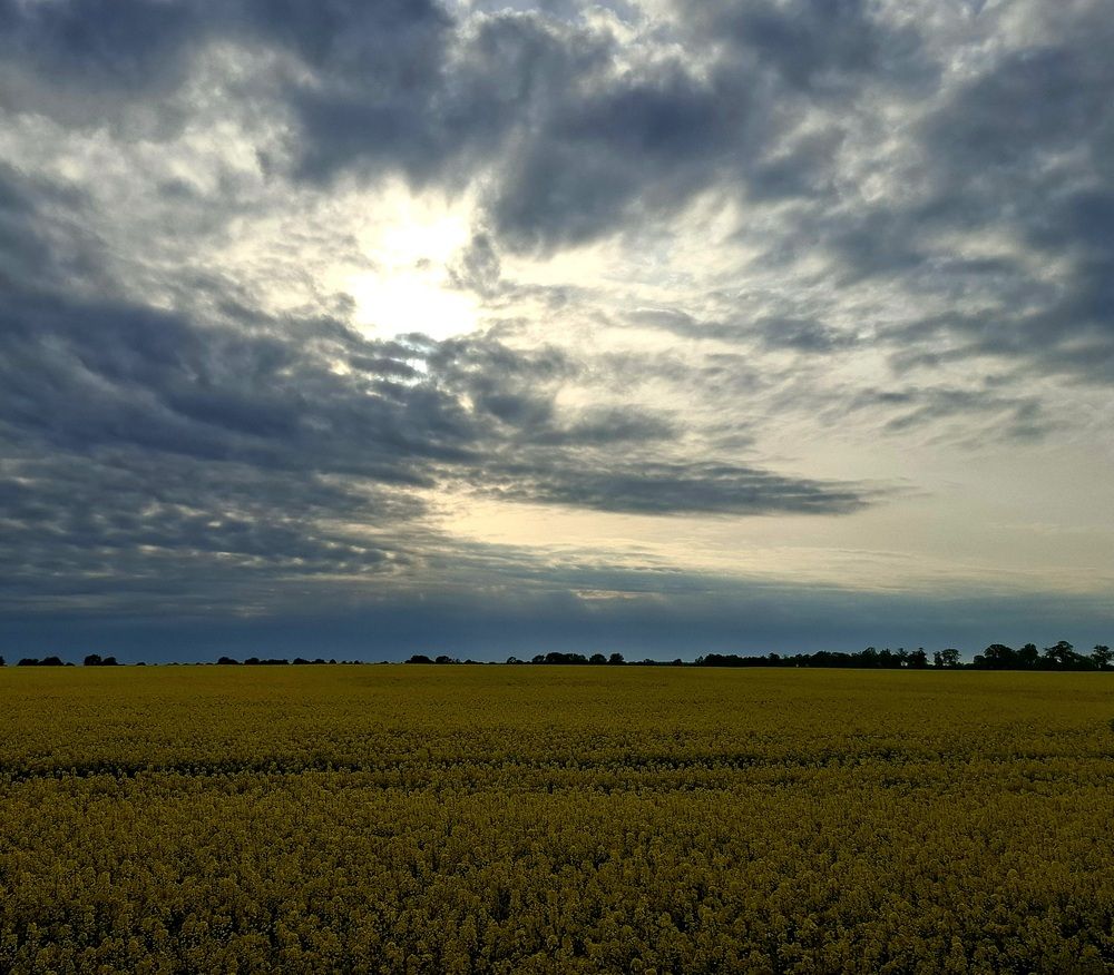 Photograph by Владимир Кублицкий
