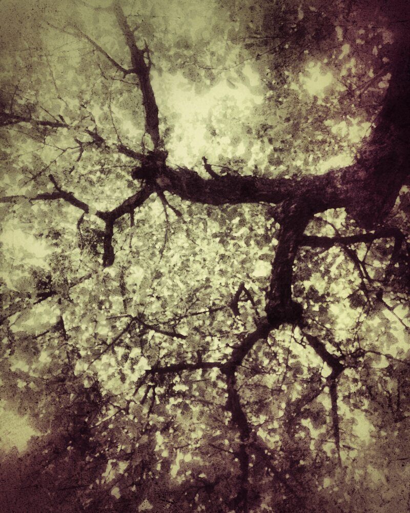 Photograph by Nikolett Mengyi