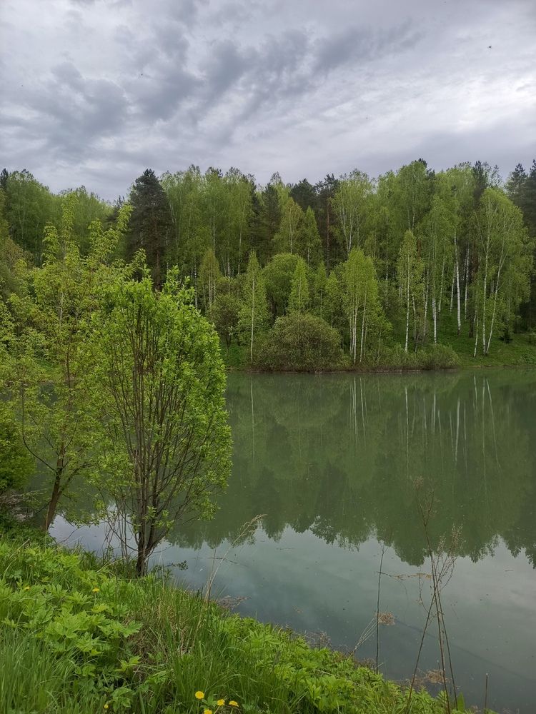 Раннее утро в Сибири.