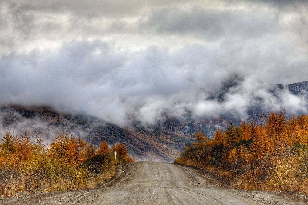 Осенний туман