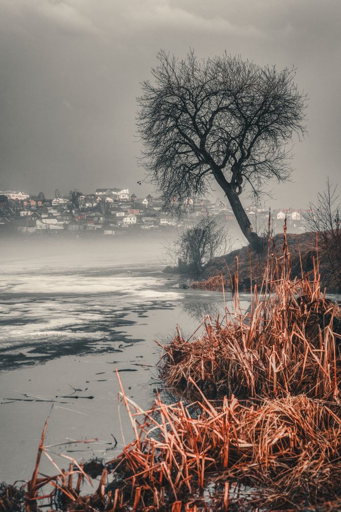 Photograph by Денис Хабибуллин