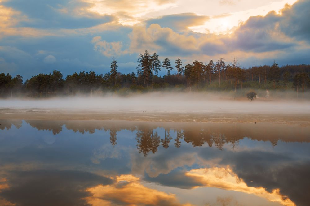 Вечерний туман