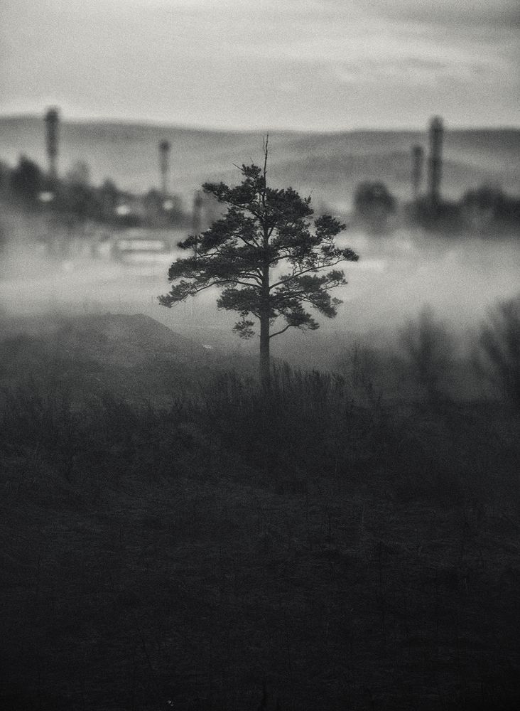 Photograph by Денис Хабибуллин