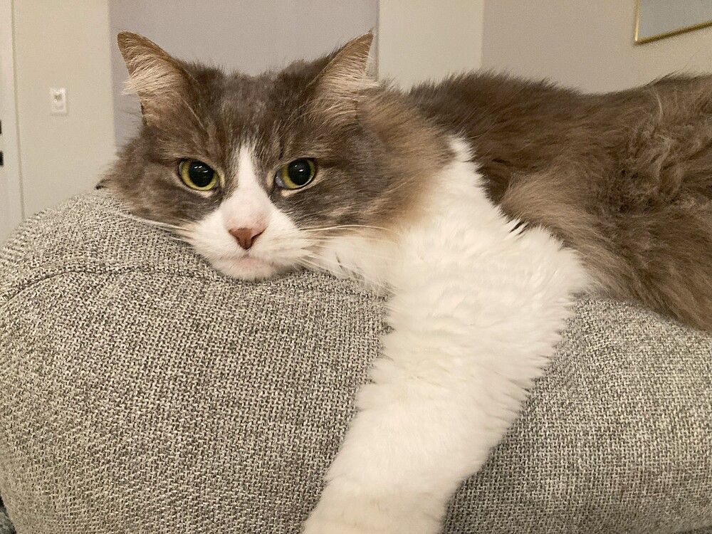 Фотография автора Елена