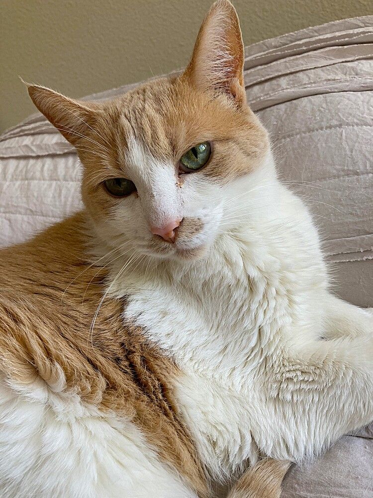 Фотография автора Елена