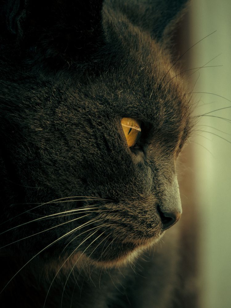 Photograph by Игорь Сухаревич