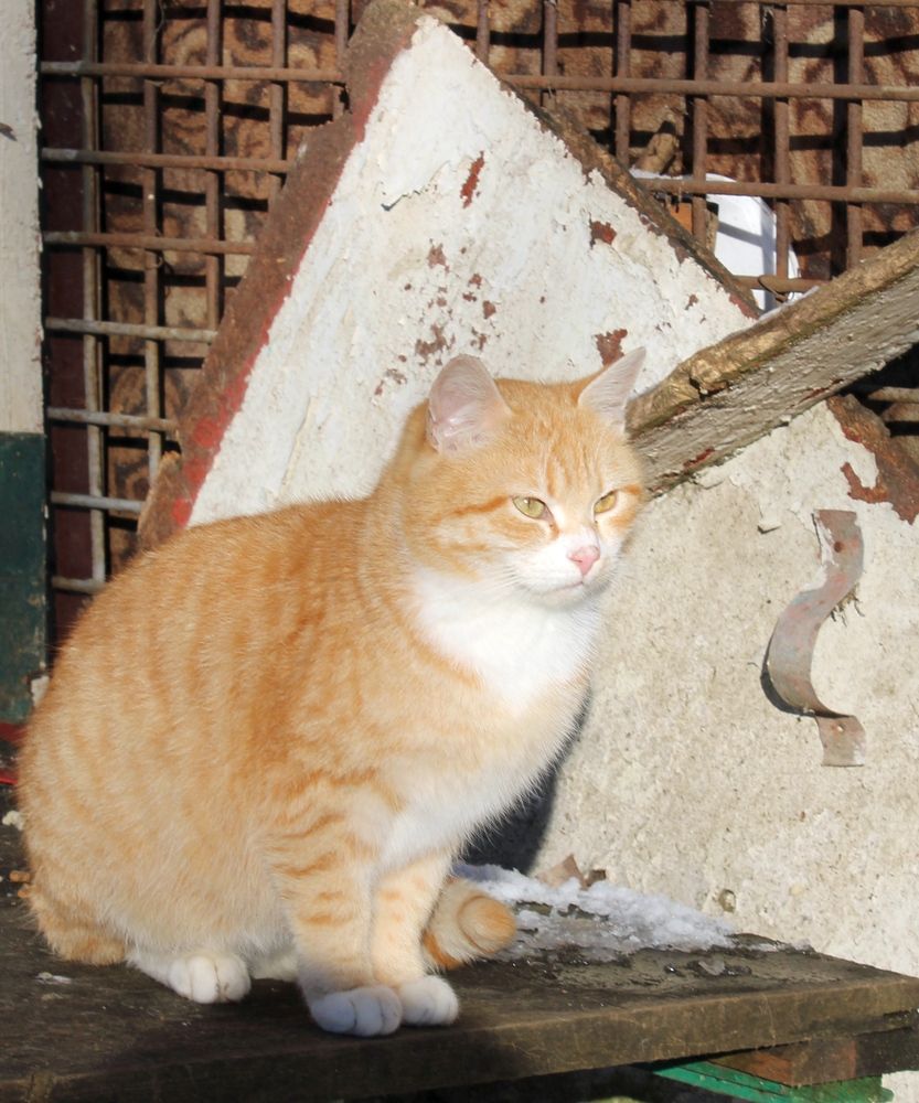 Photograph by Olga Bagaeva