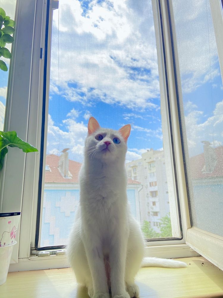 Photograph by Evgeniy Ribakov