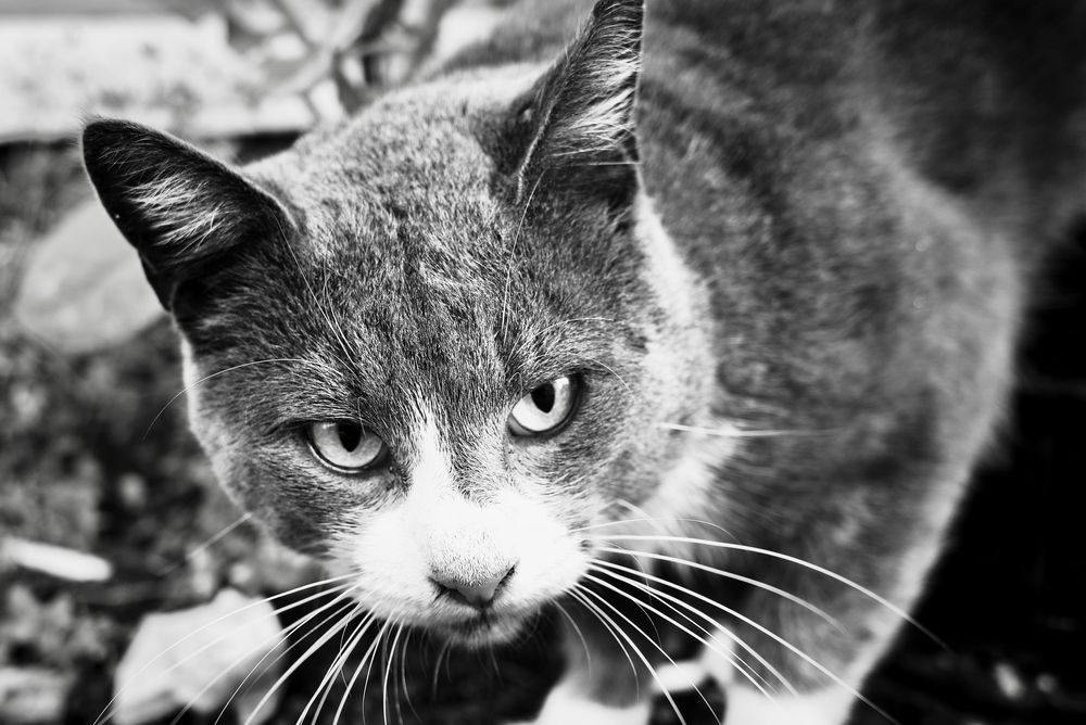 Photograph by Yana Egorova