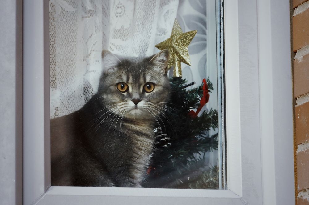 Photograph by Yana Egorova