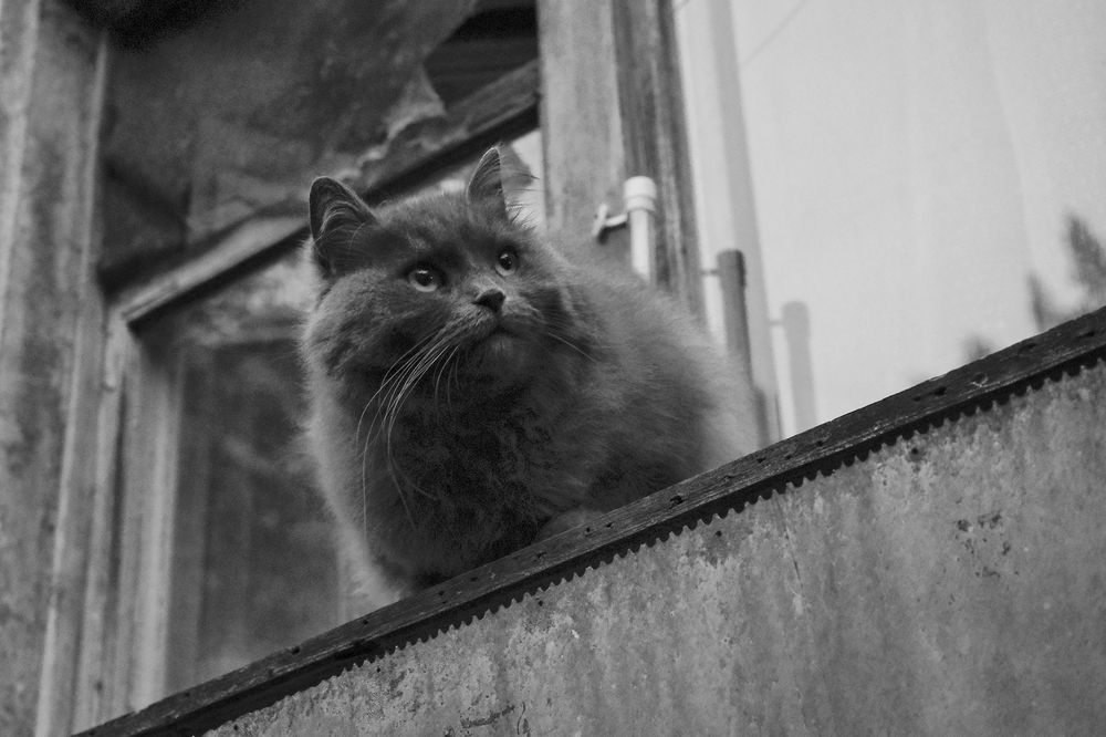 Photograph by Yana Egorova