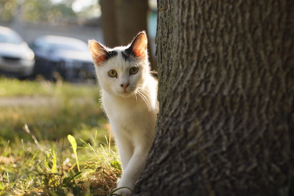 Photograph by Yana Egorova