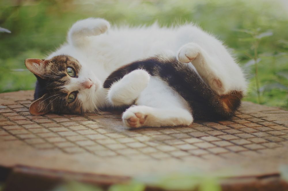 Photograph by Yana Egorova