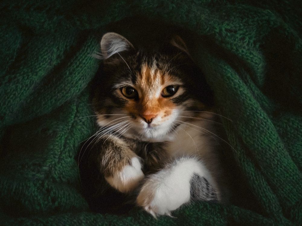 Photograph by Yuliya Karpova