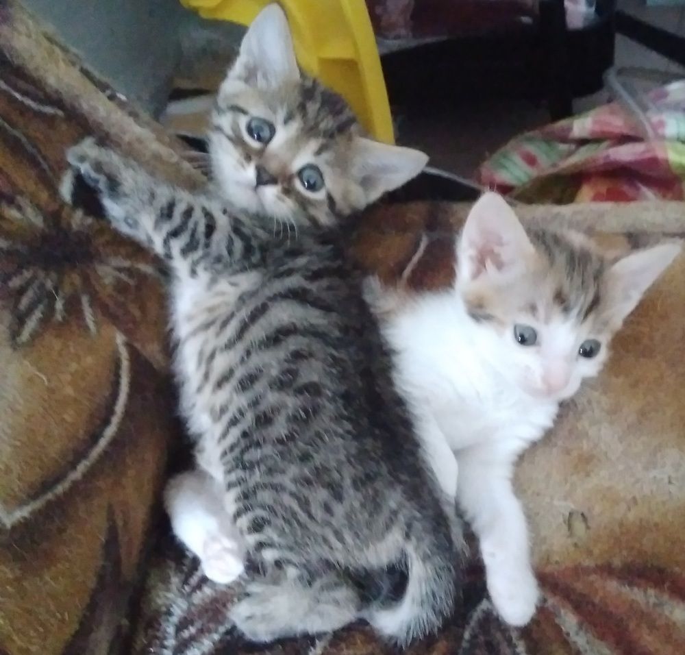 Photograph by Васильева Львовна