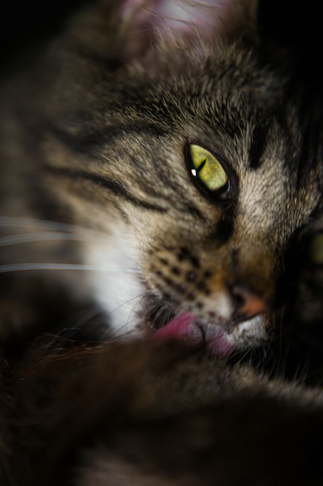 Photograph by шитиков никита