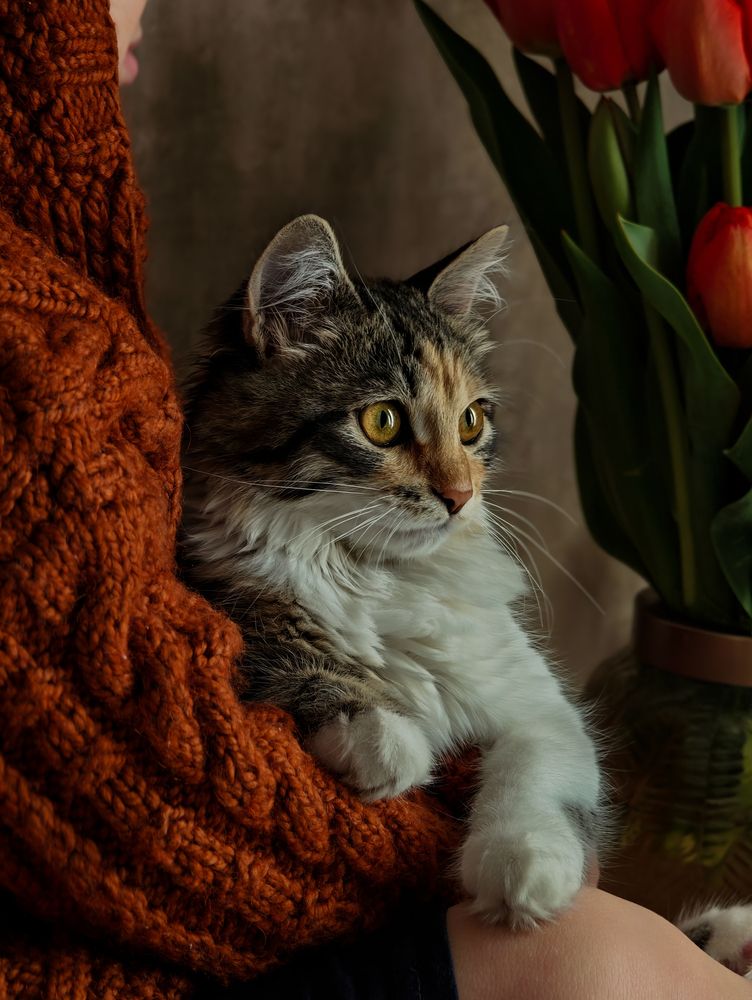 Photograph by Yuliya Karpova