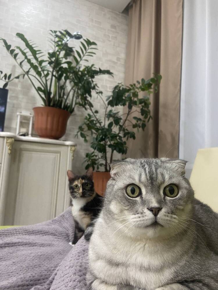 Photograph by Наталья Душакова