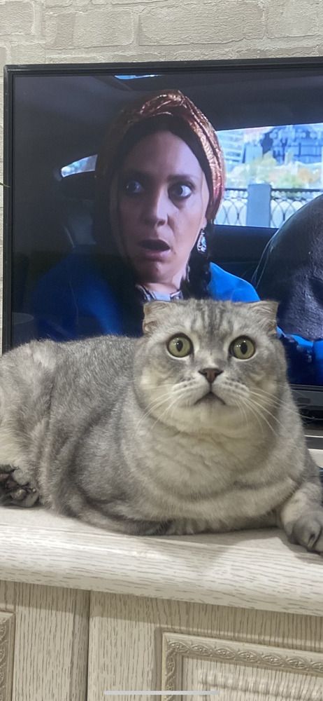 Photograph by Наталья Душакова