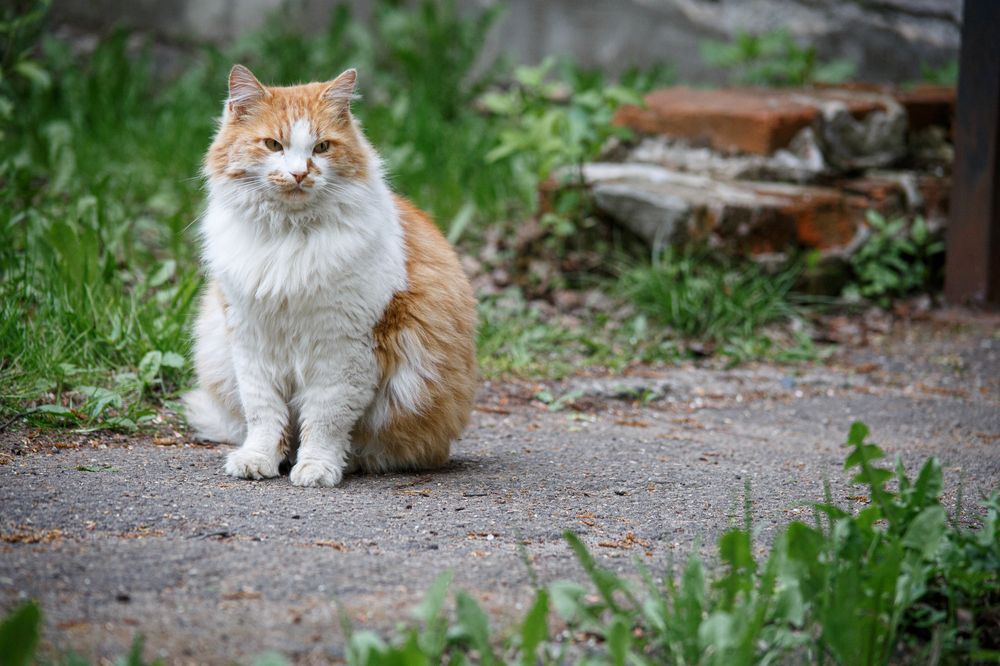 Photograph by Дарья Улюсова