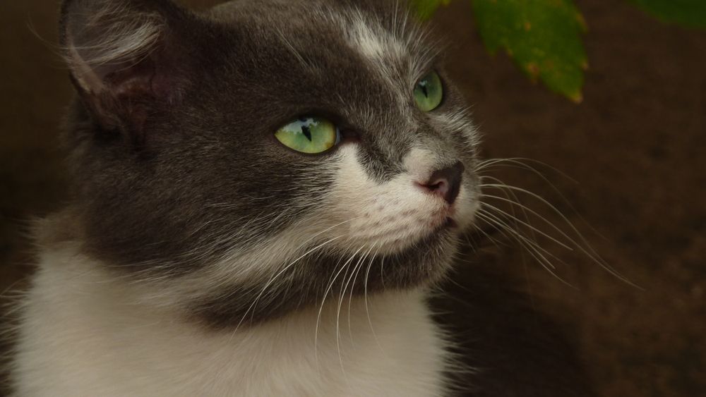 Photograph by Ульяна Бедрицкая