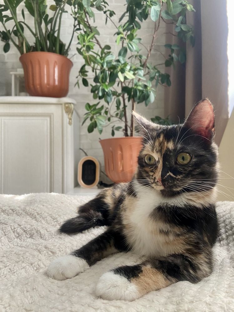 Photograph by Наталья Душакова