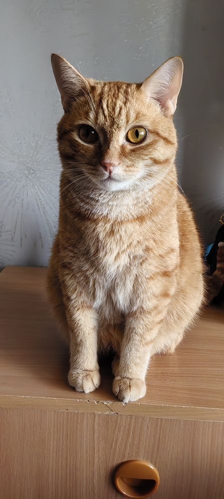 Photo #12203560