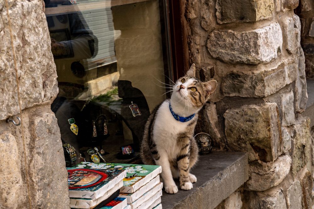 Photograph by Shulkin Igor