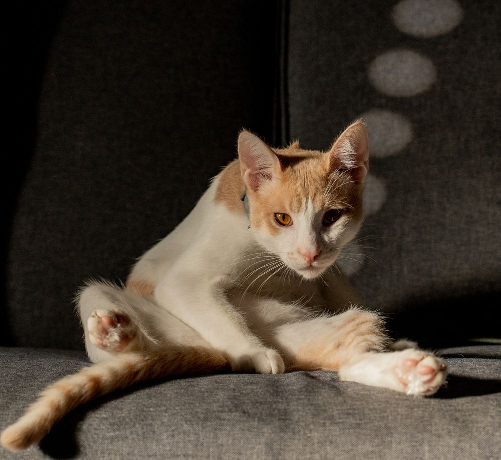 Photograph by Shulkin Igor