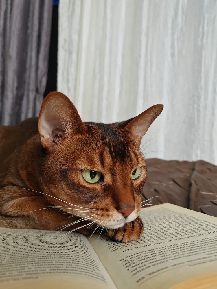 Фотография автора Татьяна Егорова