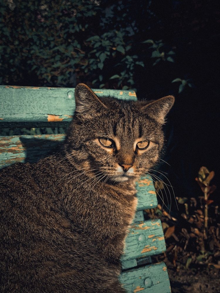 Photograph by Тимур Быков