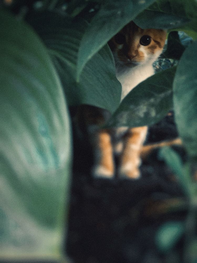 Photograph by Тимур Быков