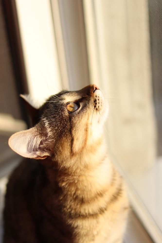 Photograph by Ксения Золотарь