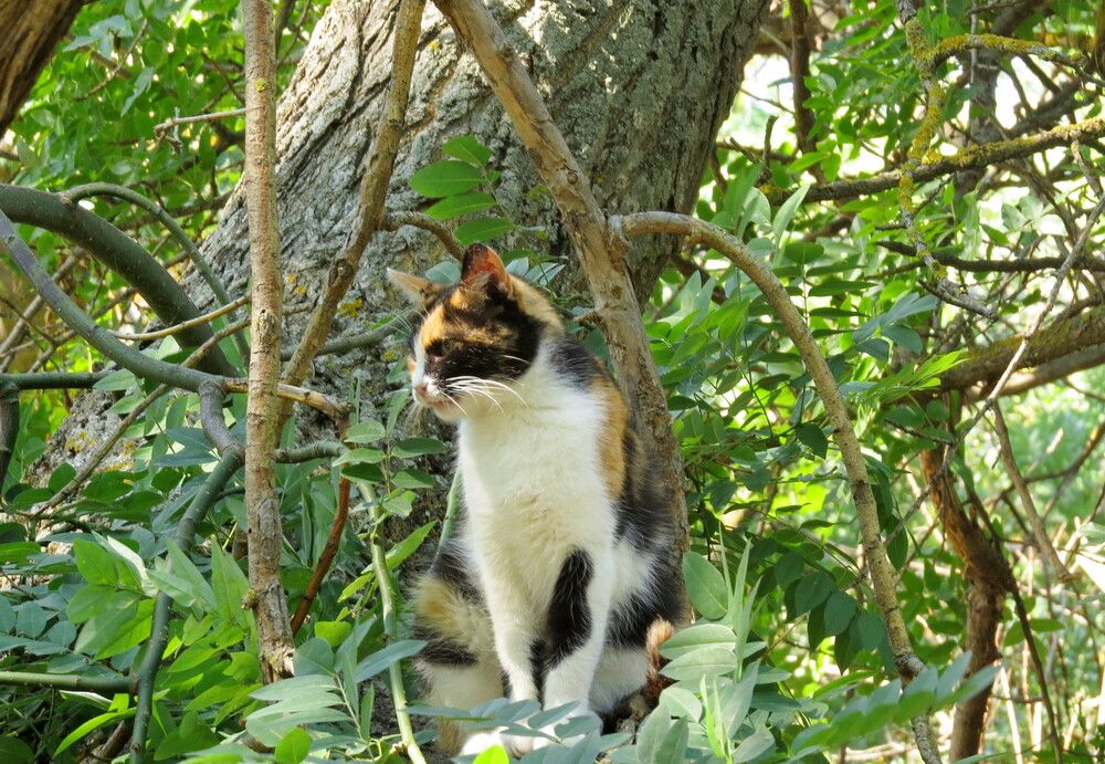 Photograph by Елена Казарина