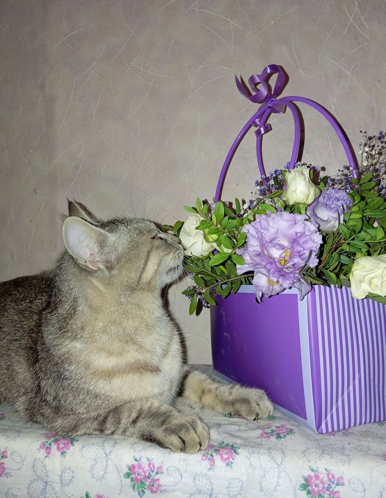 Photograph by Елена Коробченко