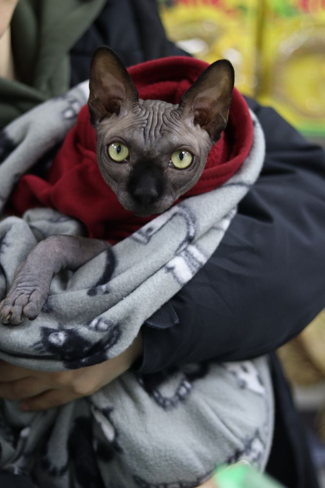 Photograph by Ксения Золотарь