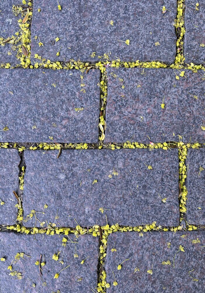 Photograph by Татьяна Смирнова