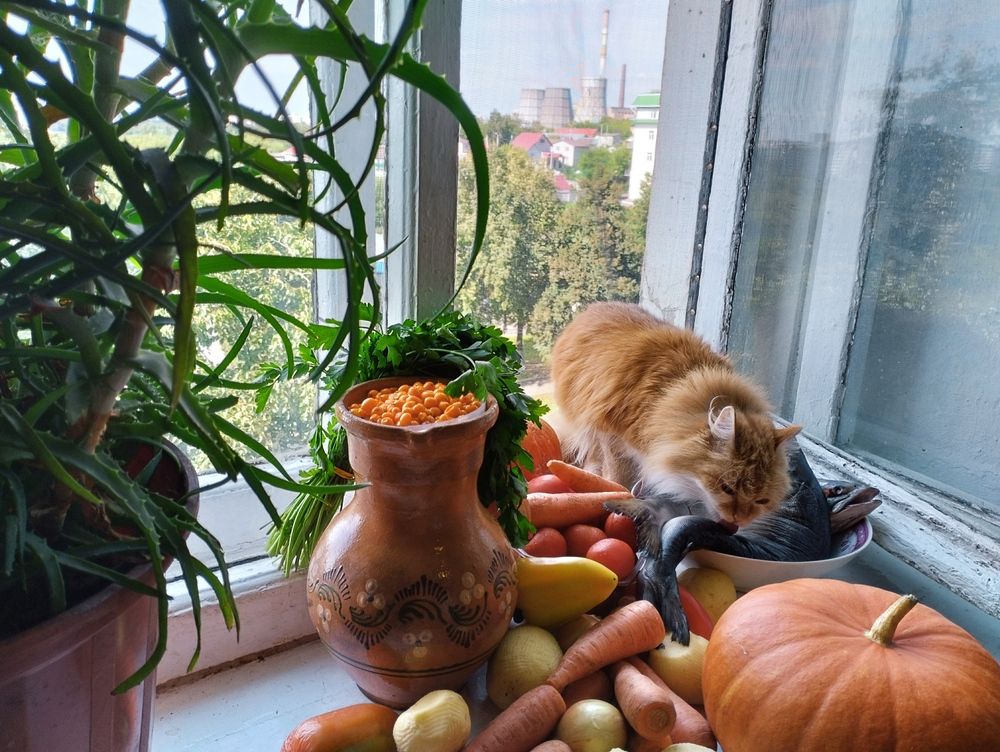 Photograph by Надежда Болтунова