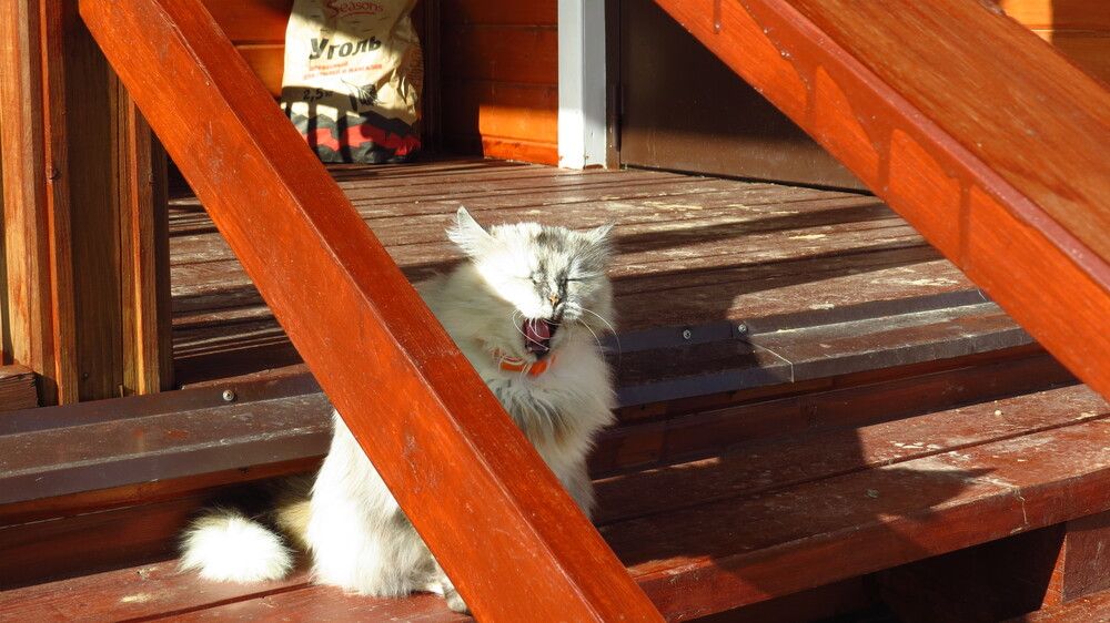 Photograph by Елена Казарина