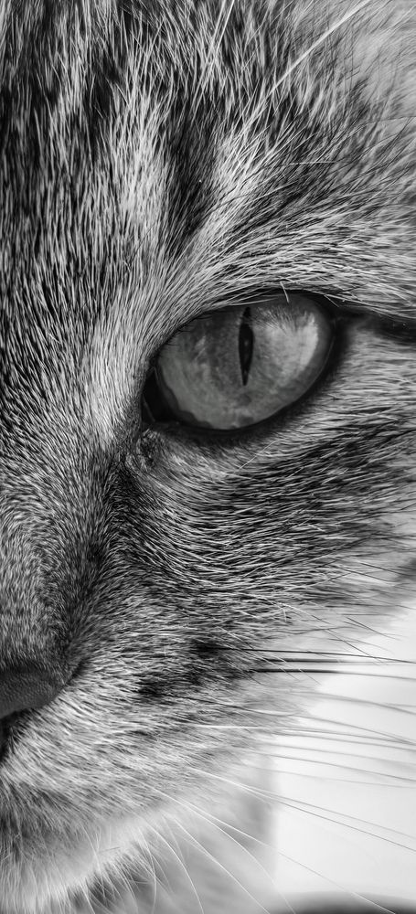 Photograph by Инна Невар