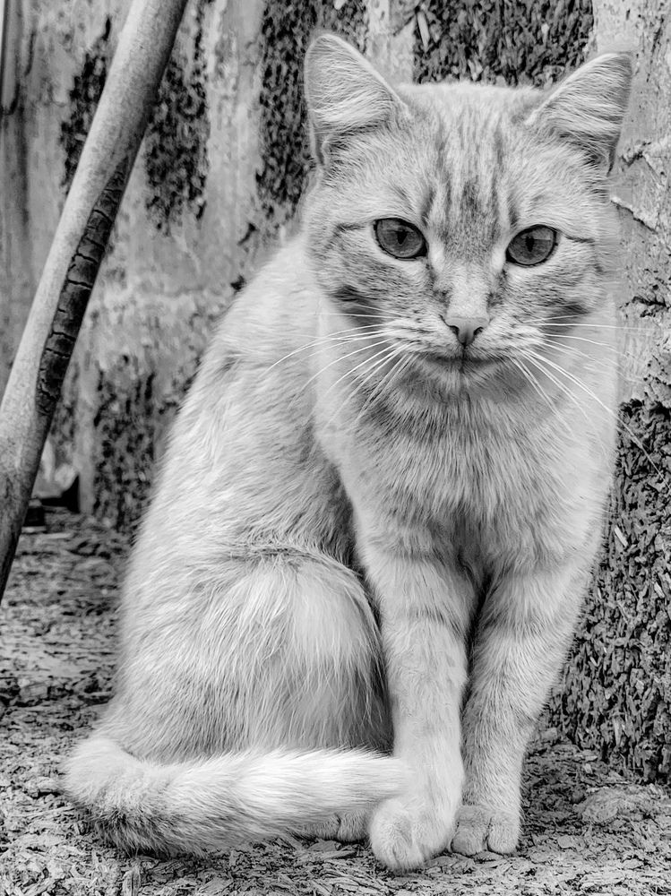 Фотография автора Evgeniy Shabanov