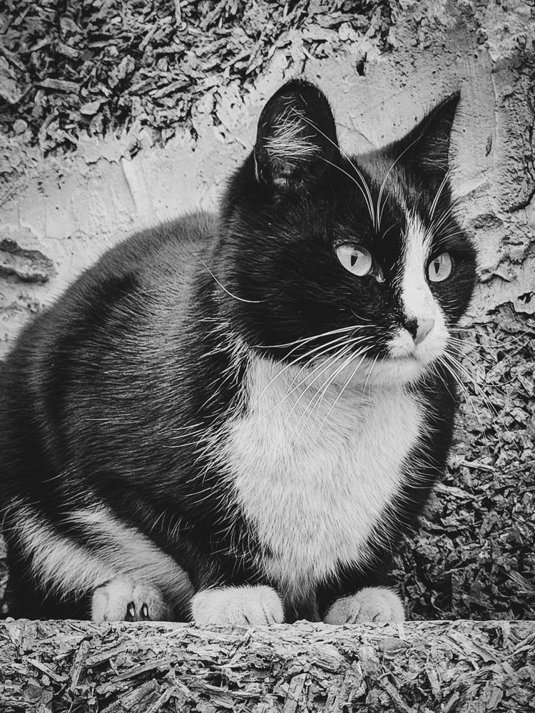 Фотография автора Evgeniy Shabanov