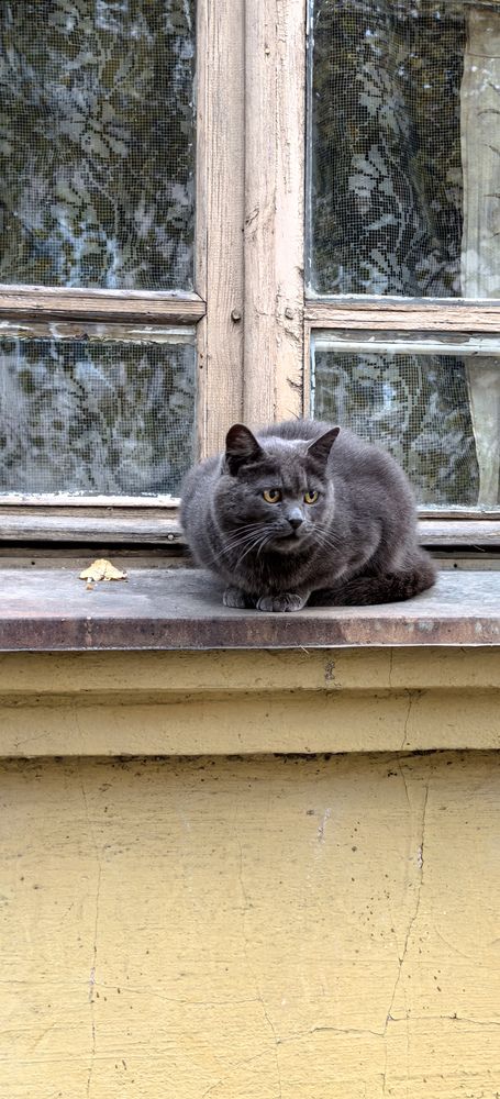 Photograph by Инна Невар
