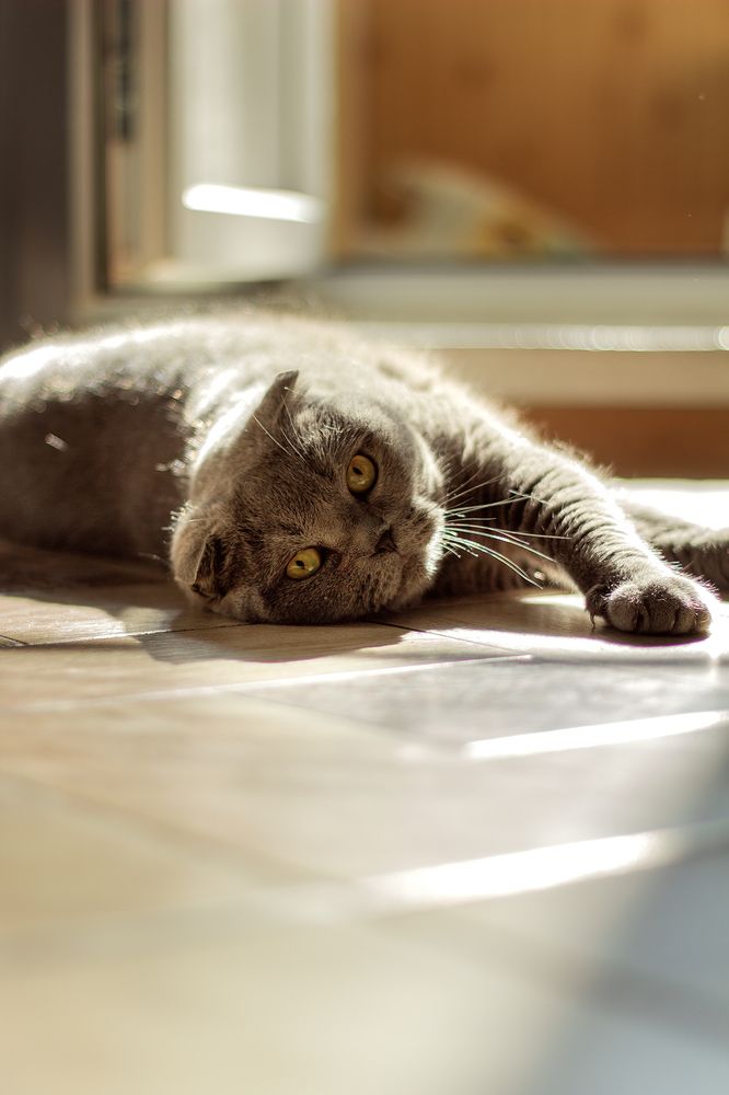 Photograph by Елена Седова