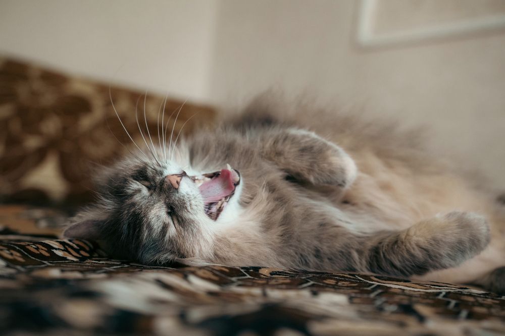 Photograph by Ирина Федорищева