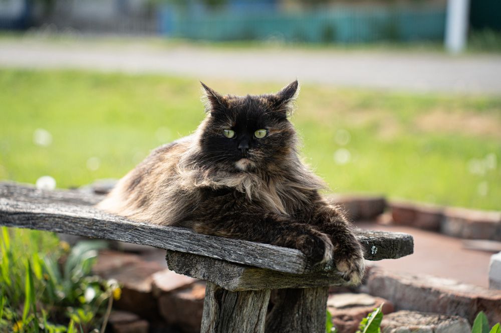 Photograph by Ирина Федорищева