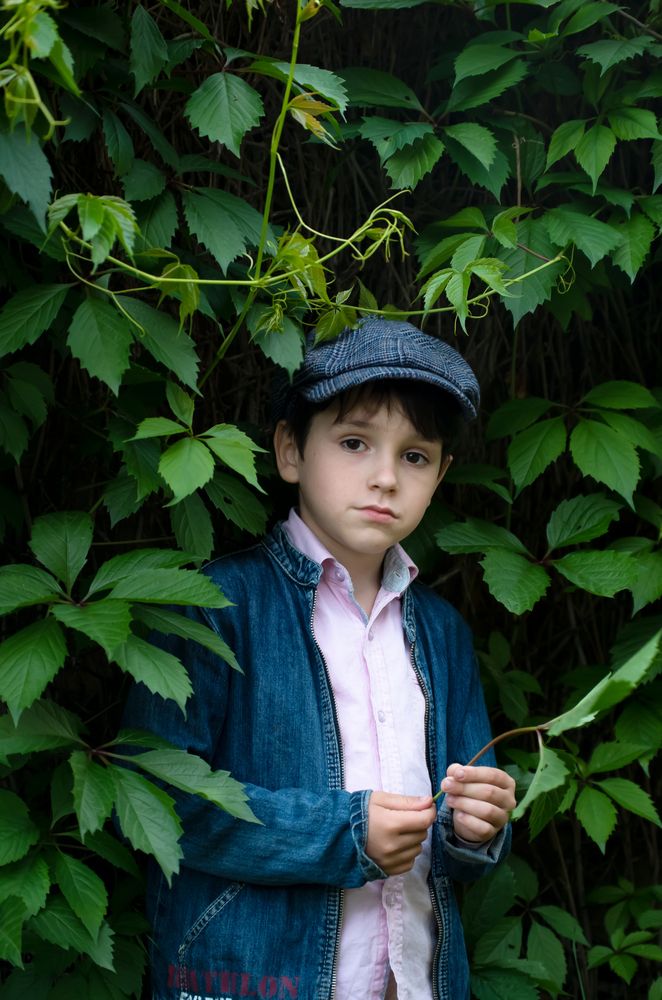 Варлам в листьях девичьего винограда