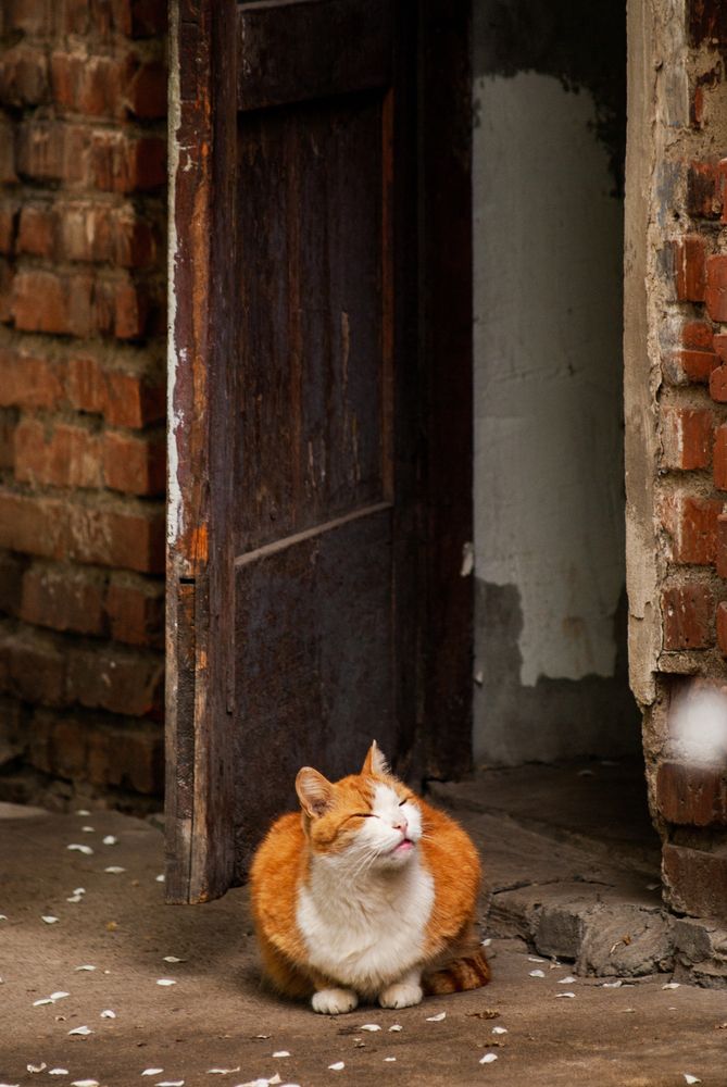 Photograph by Михаил Мостовой