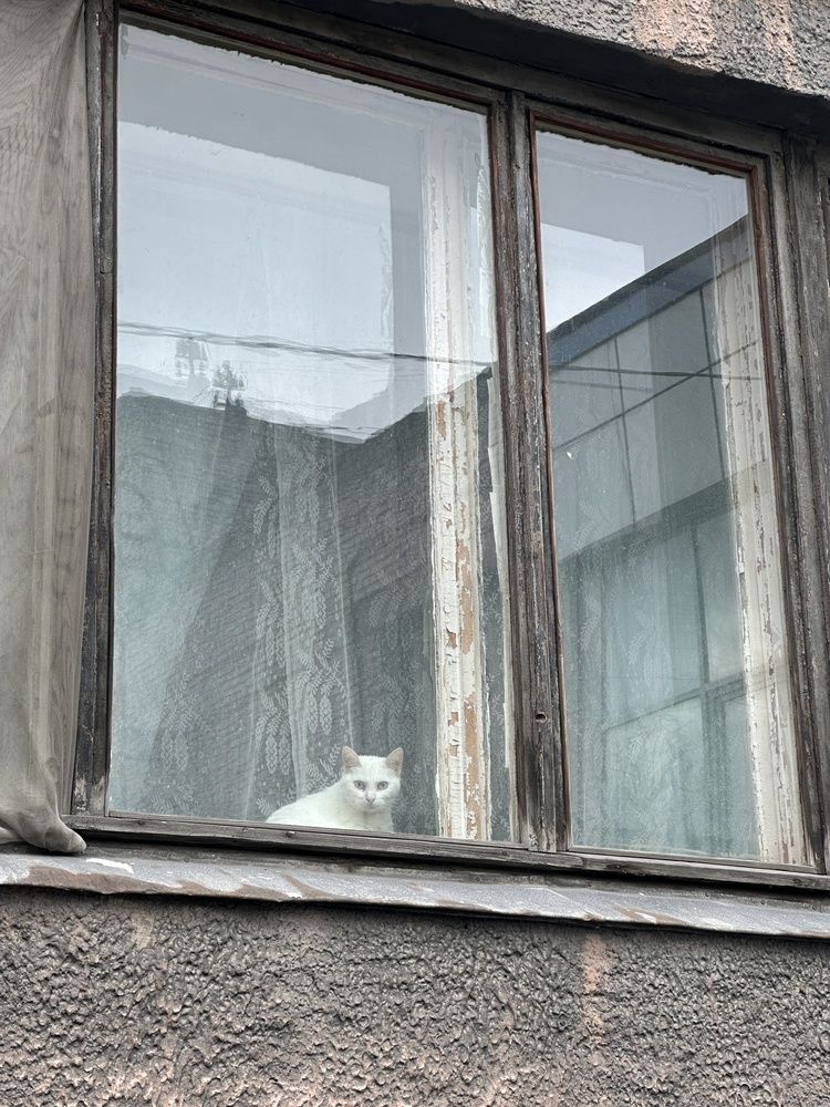 Photograph by Заломаева Надежда