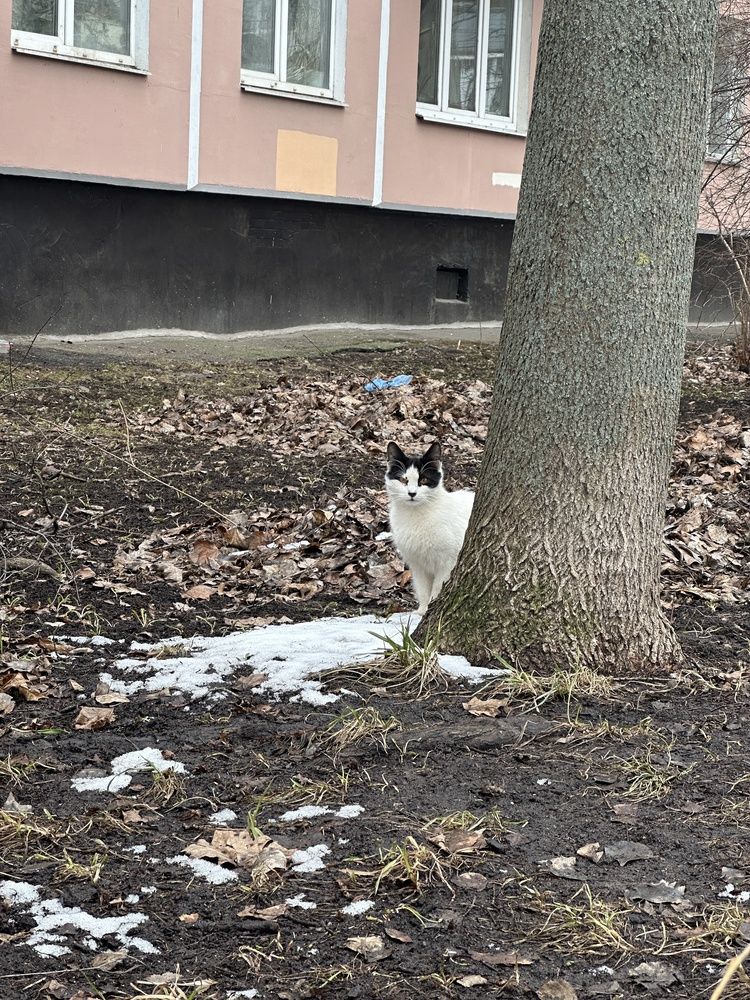 Photograph by Заломаева Надежда